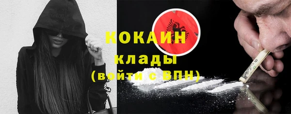 гидра Гусь-Хрустальный