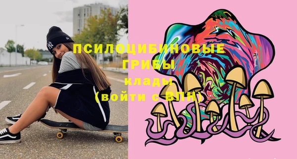 гашик Богородск