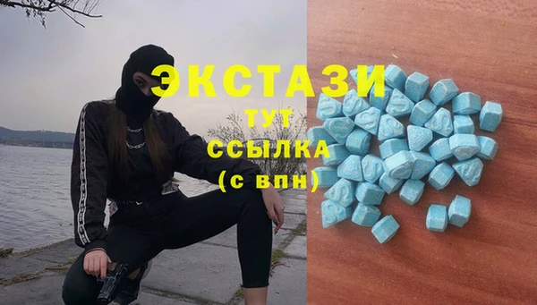 гашик Богородск