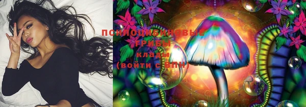 соль курить ск Богданович