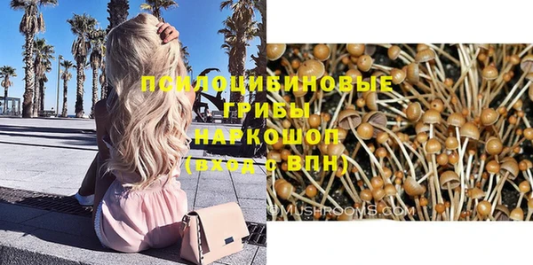 соль курить ск Богданович