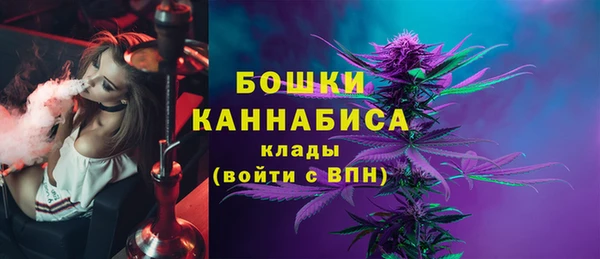 гашик Богородск